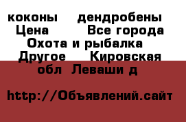 коконы    дендробены › Цена ­ 25 - Все города Охота и рыбалка » Другое   . Кировская обл.,Леваши д.